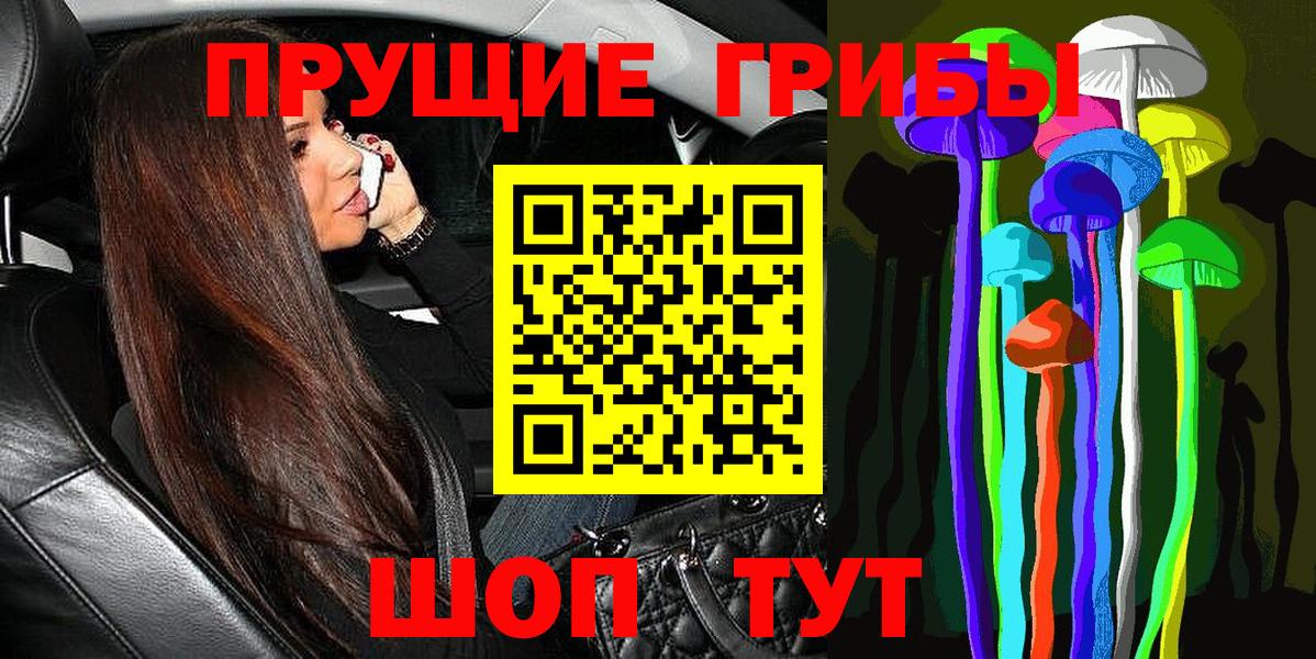 Заволжье  Галлюциногенные грибы мицелий  Вход с VPN 