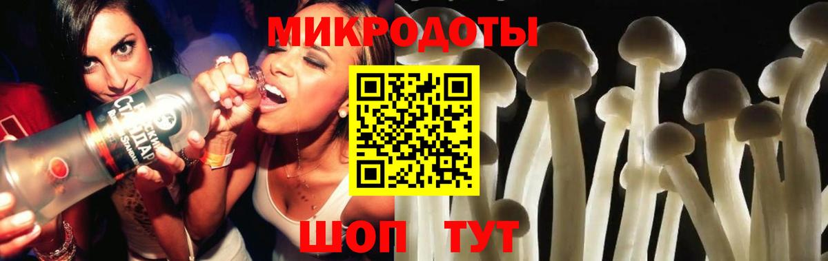 Галлюциногенные грибы Cubensis Заволжье